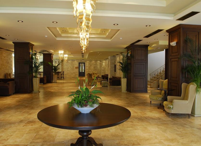 Ingresso Foto