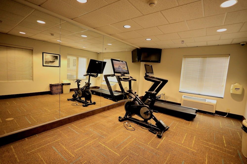 Palestra
