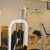 Palestra