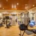 Palestra