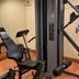 Palestra
