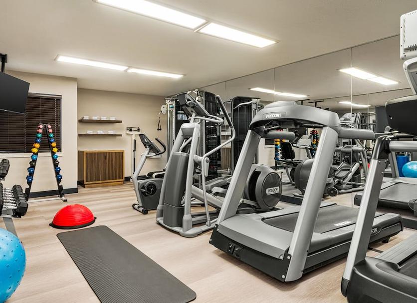 Palestra Foto