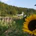 Vista esterna