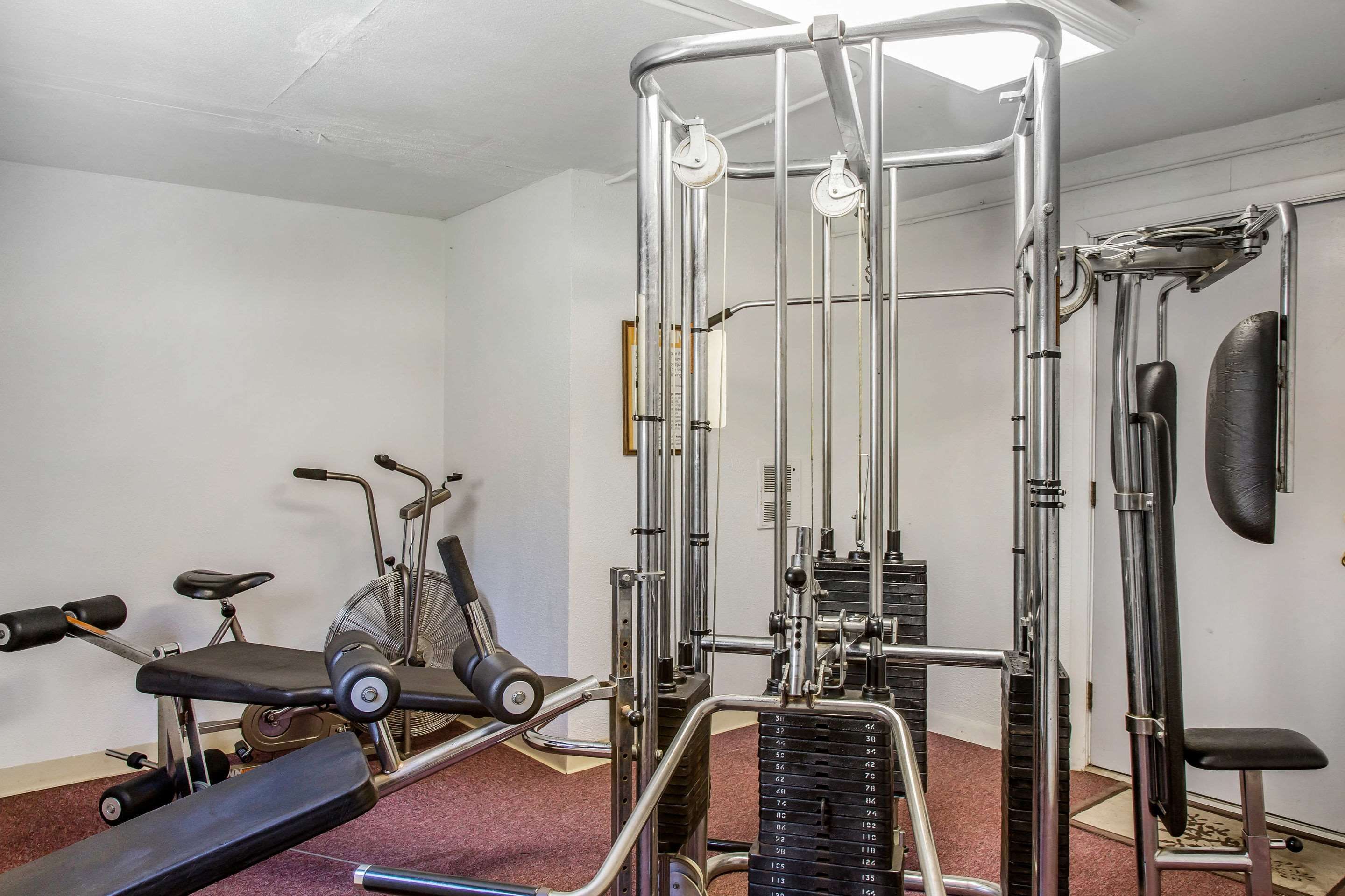 Palestra