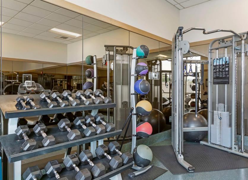 Palestra Foto