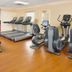 Palestra