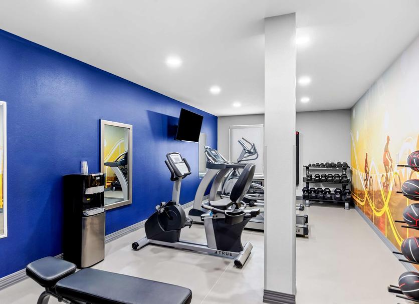 Palestra Foto