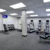 Palestra
