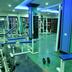 Palestra