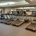 Palestra
