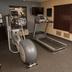 Palestra