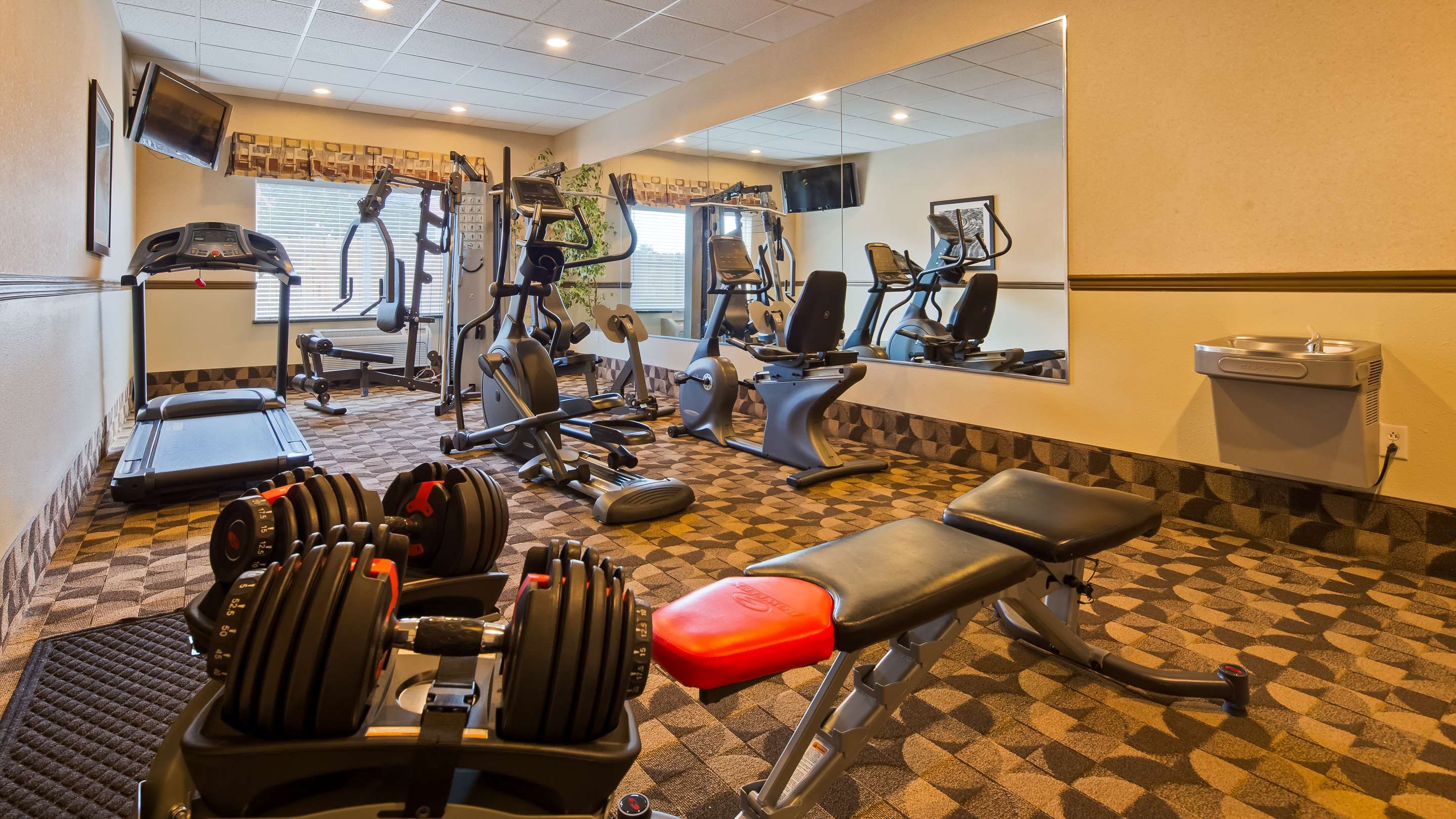 Palestra