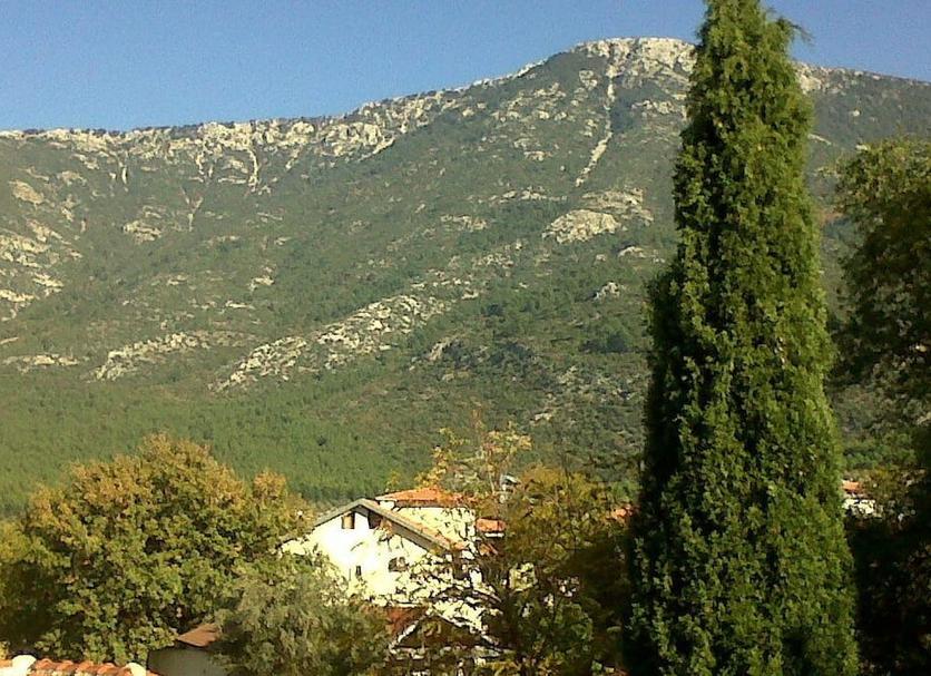 Vista esterna Foto