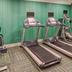 Palestra