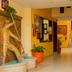 Ingresso