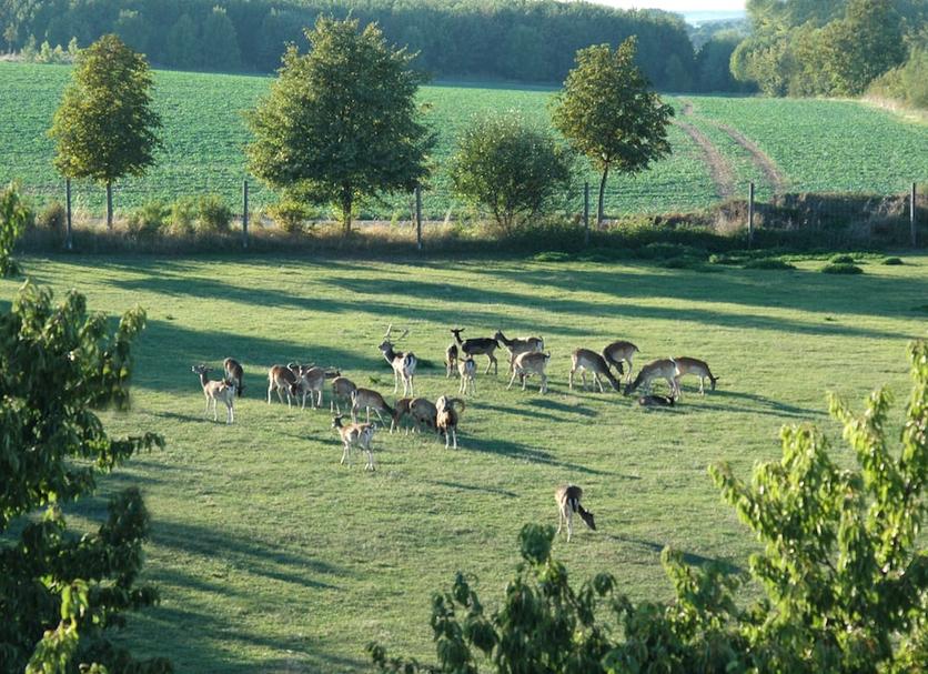 Vista esterna Foto