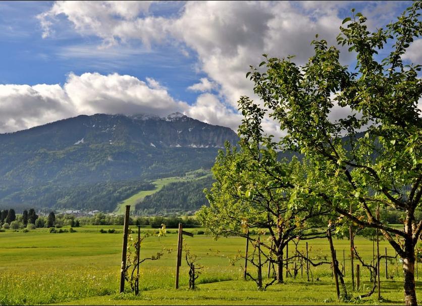 Vista esterna Foto