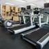 Palestra