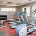 Palestra