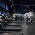 Palestra