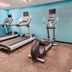 Palestra