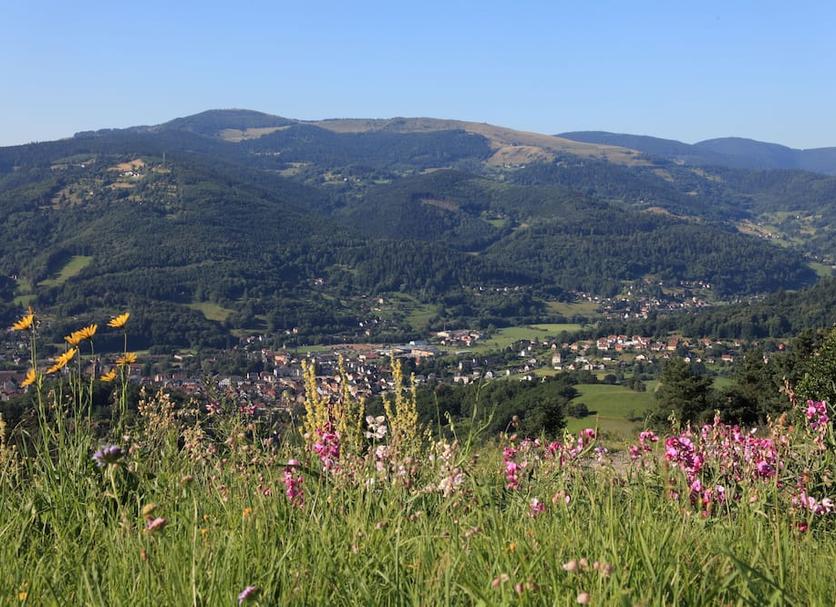 Vista esterna Foto