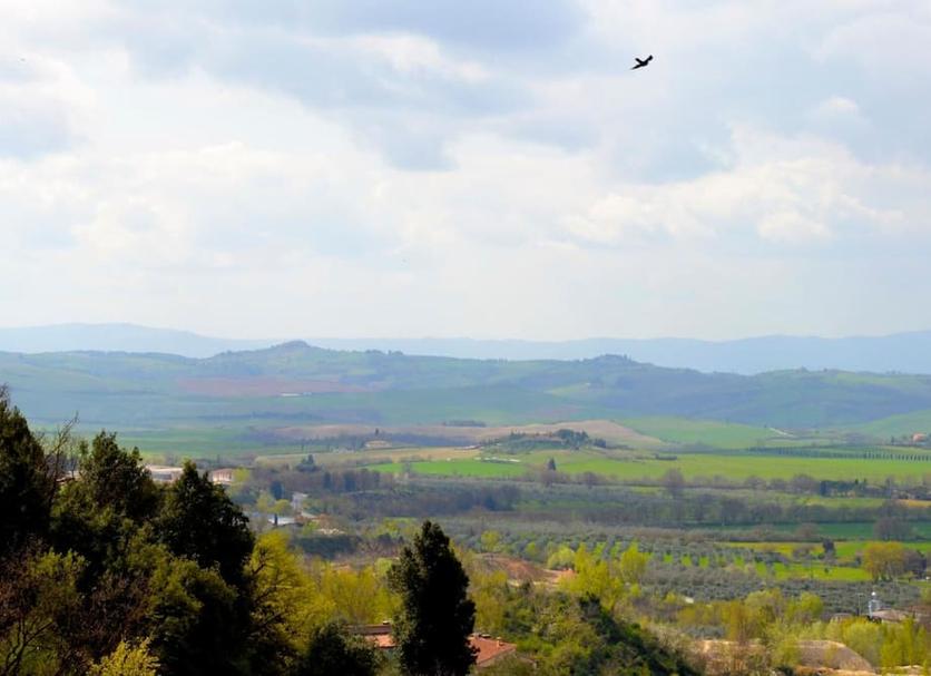 Vista esterna Foto