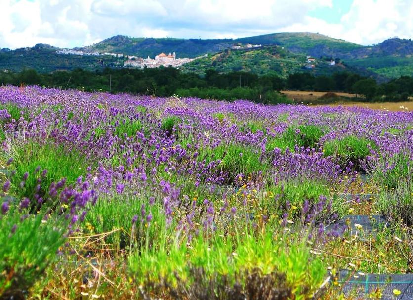 Vista esterna Foto