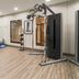 Palestra