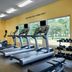 Palestra
