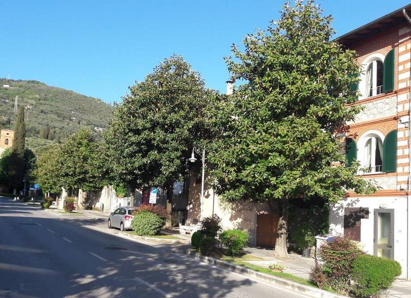 Vista esterna Foto
