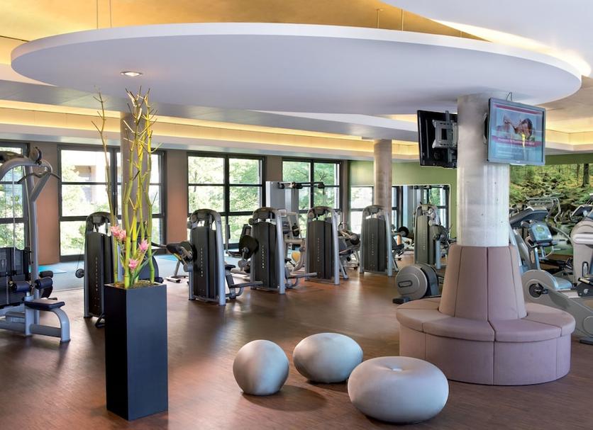 Palestra Foto