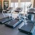 Palestra
