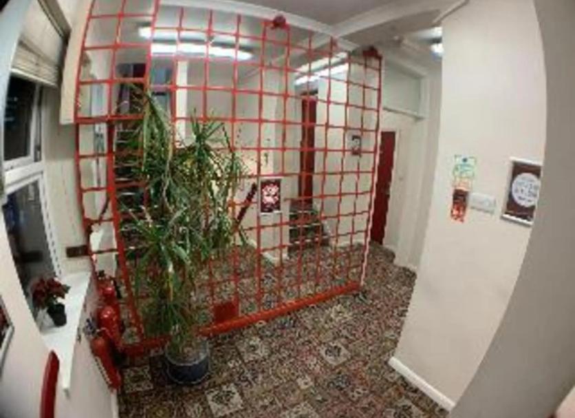 Altro Foto