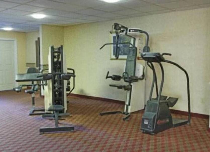 Palestra Foto