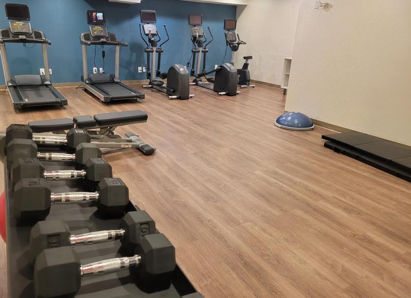 Palestra Foto