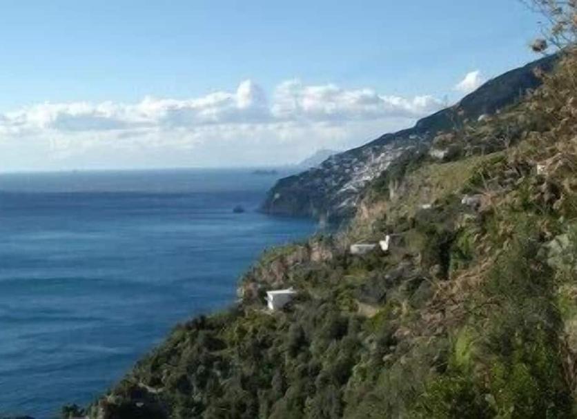 Altro Foto
