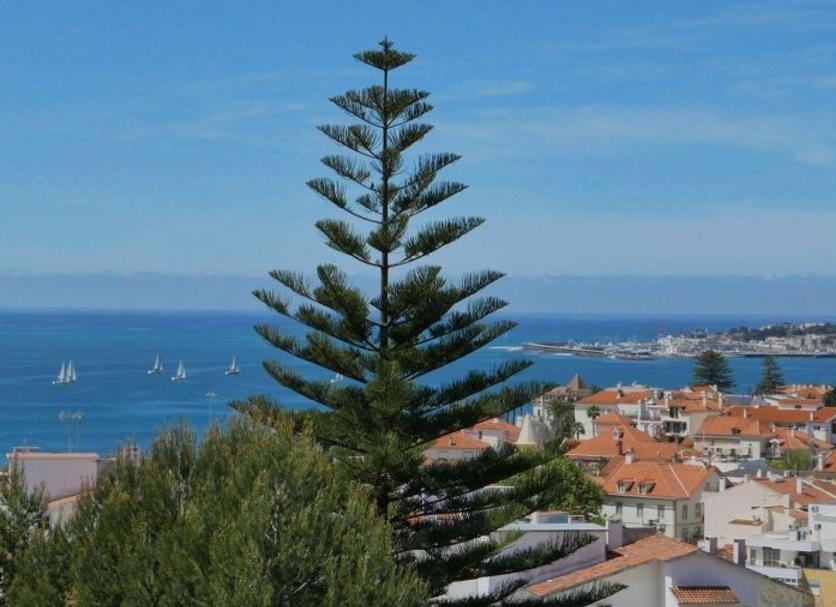 Vista esterna Foto