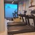 Palestra