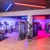 Palestra