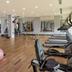 Palestra