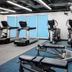 Palestra