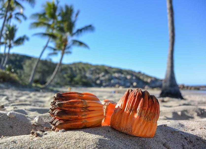 Spiaggia Foto