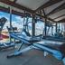 Palestra