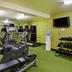 Palestra