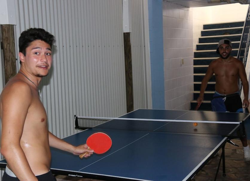 Palestra Foto