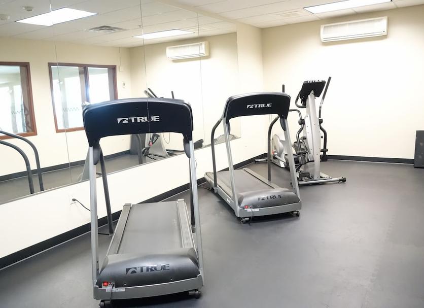Palestra Foto