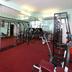 Palestra
