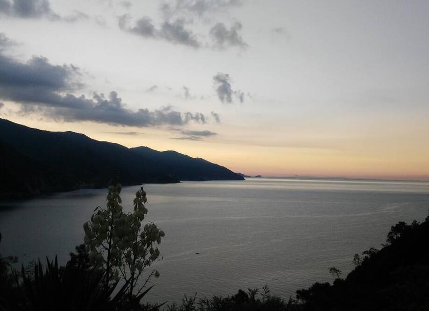 Altro Foto