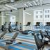 Palestra